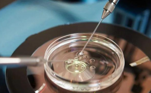 南京代怀双胞胎与试管婴儿降调促排指南