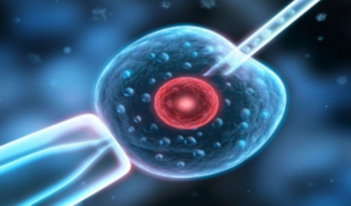 供卵试管平台，试管取卵全身麻醉好还是半身麻醉好？