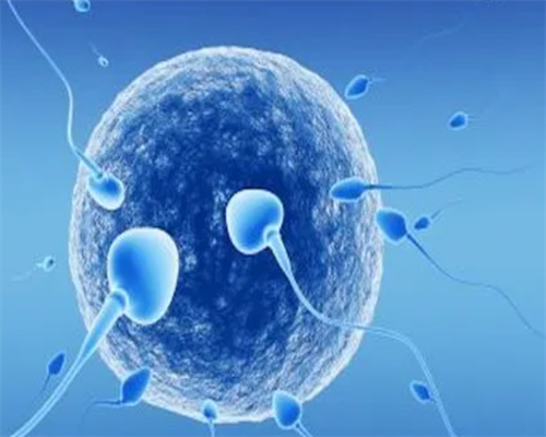 定制代孕套餐与囊胚移植后着床时间解析