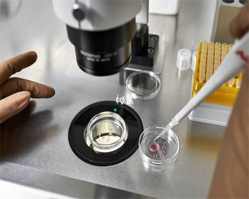 南京正规医院能否提供代孕服务及男性艾滋病患者赴美试管婴儿解决方案