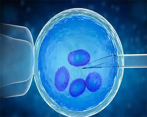 试管婴儿长方案与短方案的区别及选择指南