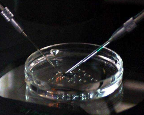 揭秘代孕黑市：从国际服务到国内地下市场