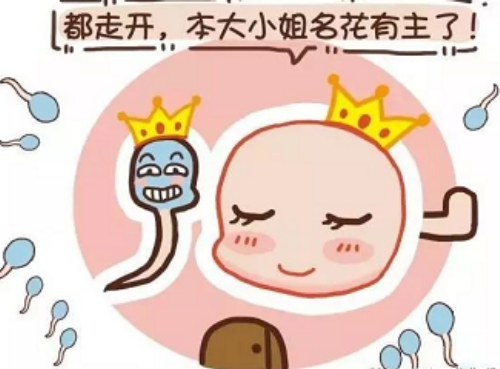 南京机构供卵：中山一院冷冻试管流程解析与失败原因探讨