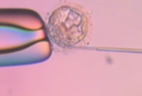 南京三代供精试管费用与医院选择指南，助孕机构推荐