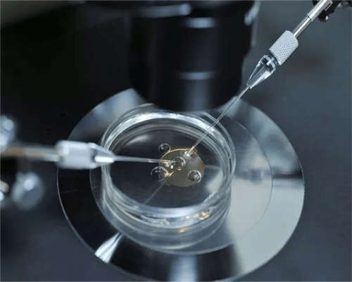 南京试管助孕机构选择指南与医院成功率解析