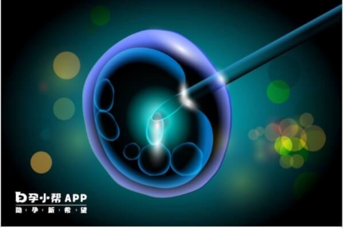 南京代生与试管婴儿选择：正规医院与医疗机构的比较