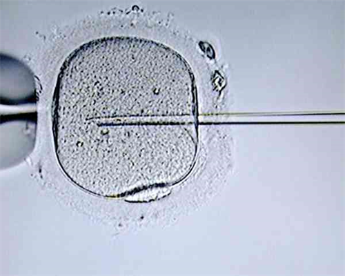 江苏三代试管助孕技术解析与医院选择指南