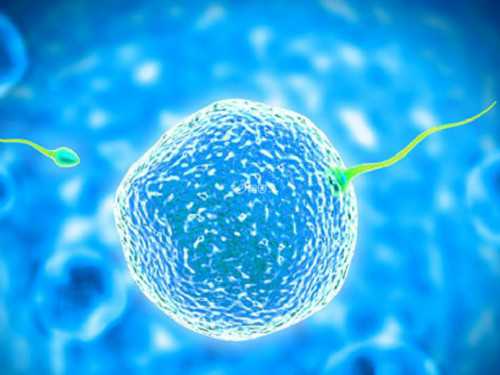 2026年顶尖试管代怀机构与供卵服务指南