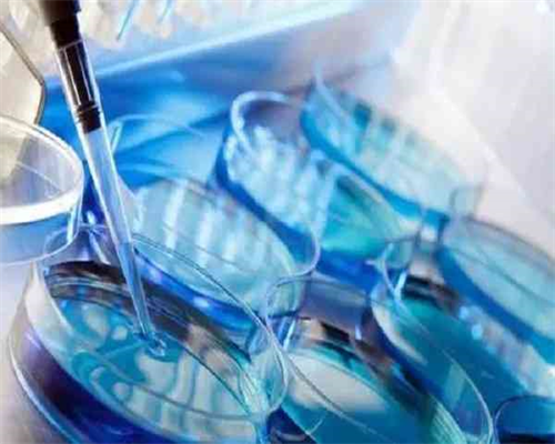 专业代生机构解析：三代试管婴儿费用与卵子冷冻趋势