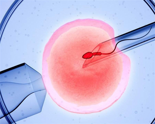 泰国试管婴儿成功率的关键步骤解析