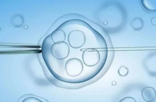 南京代孕风险与试管医院成功率解析：孕囊大小与性别预测探讨