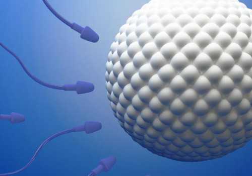 代孕服务与辅助生殖技术全解析