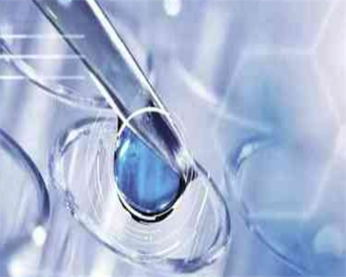 试管婴儿卵泡数量与成功率解析：一个卵泡能否成功？