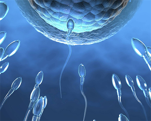 南京供卵生男孩试管医院排名与代孕市场现状解析