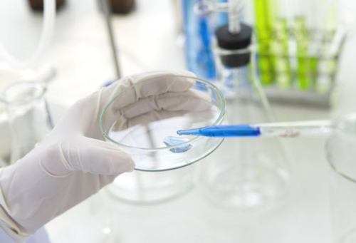 南京代怀一个儿子费用与试管助孕指南