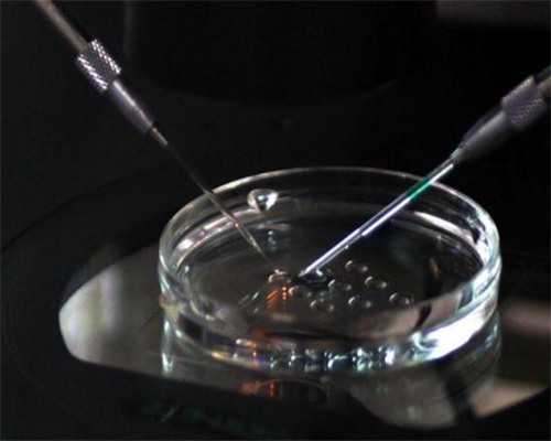 赴泰试管前身体调理指南：生活饮食与心态调整