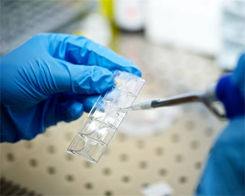 试管婴儿价格影响因素与助孕技术解析