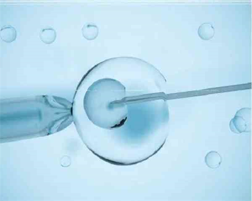 南京口碑好的代怀 在南京鼓楼做供卵试管费用贵不贵? ‘从b超单子看男女’