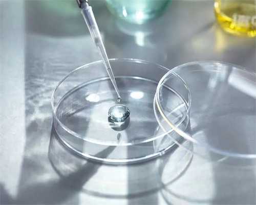 个人代孕服务与辅助生殖技术指南