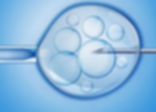 南京供卵生子网站指南：试管婴儿前必备资料清单与注意事项