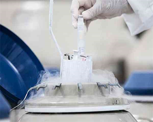 代生医院哪家好？试管移植技术专家与成功率解析