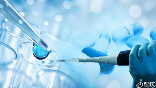 南京代孕机构选择指南：试管婴儿性别筛选与私立供卵服务解析