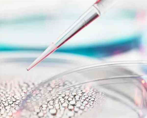 南京供卵代怀试管医院指南：流程费用与生男孩服务解析