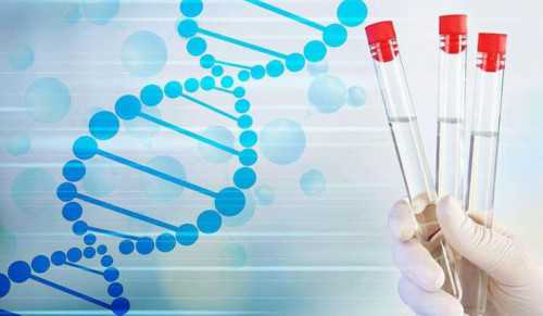 南京借卵生子与试管婴儿服务解析：医院选择与助孕指南