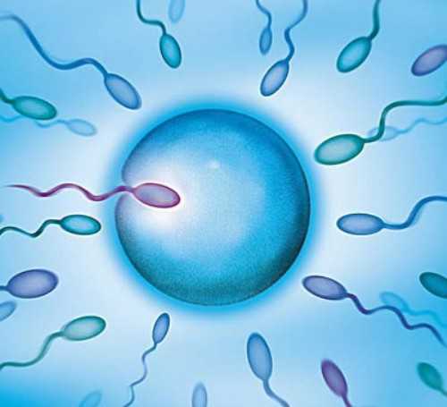 探索卵子库与试管婴儿检查及新生儿社保激活指南