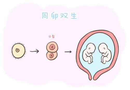 以色列试管婴儿政策与全球技术发展解析