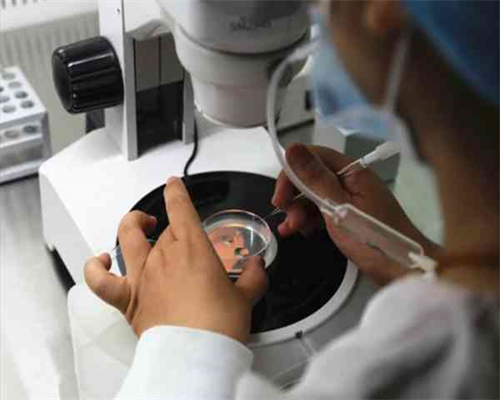 试管助孕成功率与医院选择指南