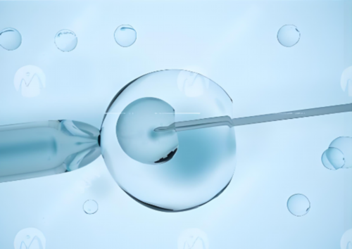 南京助孕机构解析美国试管婴儿长短方案与代生服务