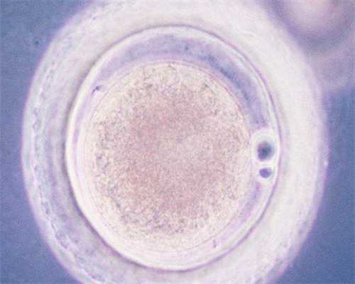 南京代怀机构选择指南与知名试管婴儿医院推荐