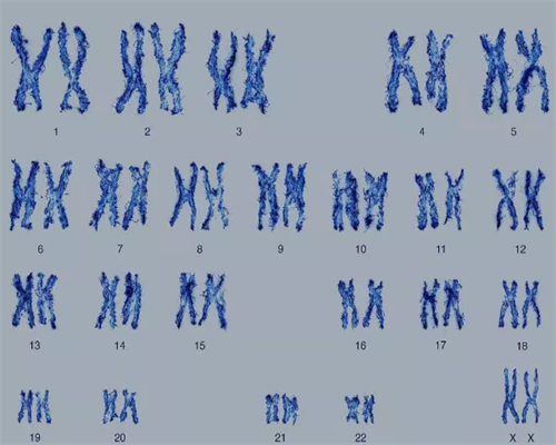 试管婴儿医院选择指南与助孕专家推荐