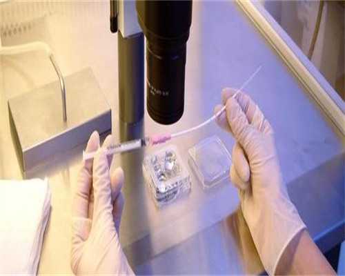 2026年北京公立与私立供卵机构卵源等待时间及成功率对比分析