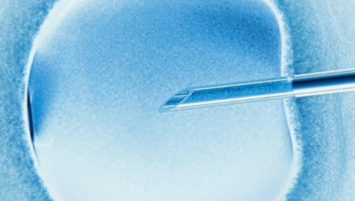 南京30岁试管婴儿成功率解析及高龄助孕指南