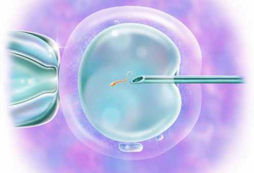 南京供卵医院在哪,南京第三代试管婴儿技术到底怎么样？