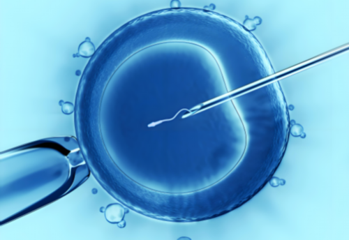 试管婴儿移植后出血原因与应对指南