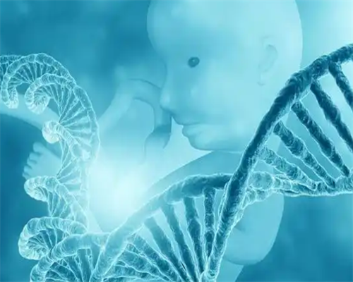 南京代怀包男孩价格,早孕看男女_测性别到底哪家是真的!_南京医院有供卵的吗