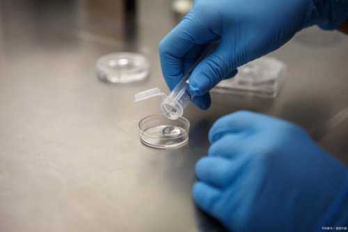 2026年供卵三代试管婴儿费用与育儿假新规解析