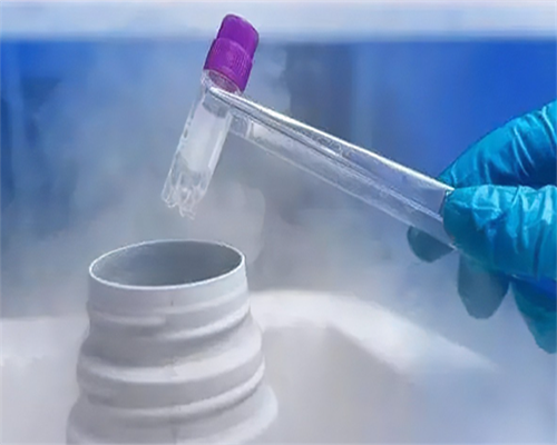 精子库捐献流程与奖励机制详解