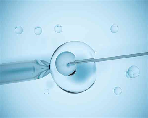 探索辅助生殖技术：从冻卵到试管婴儿的全面指南