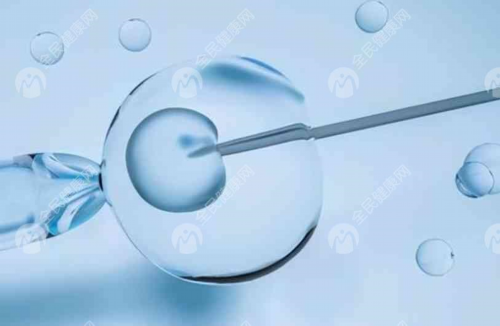 南京助孕攻略与四维彩超经验分享：代生代怀服务指南