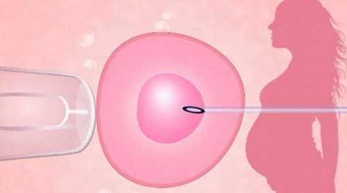 陕西失独家庭试管婴儿补贴政策详解与全国辅助生殖补助指南