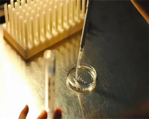 知名供卵试管婴儿医院选择与费用解析