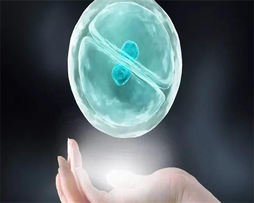 探索供卵与辅助生殖技术的现代进展