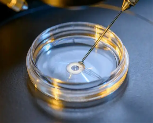 试管助孕：移植前备孕饮食全攻略，优化身体促成功孕育