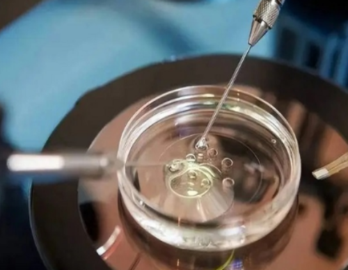 珠海第三代试管婴儿费用解析与医院选择指南