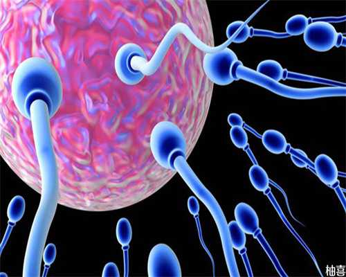 南京代怀机构与试管医院成功率指南及高龄助孕经历分享