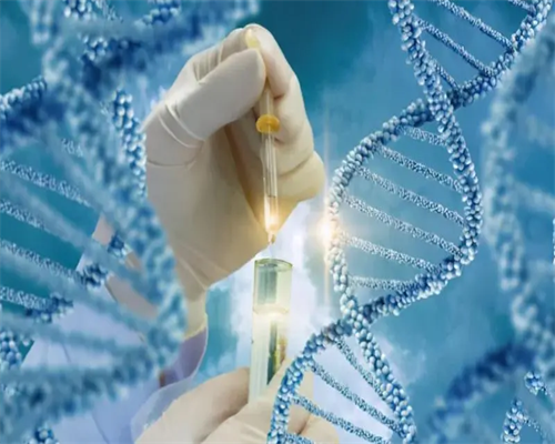 南京试管代孕公立医院：二代试管生男孩几率及助孕成功率解析